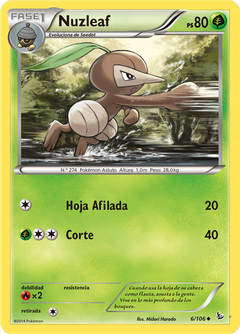 Card 6