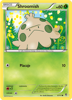 Card 6