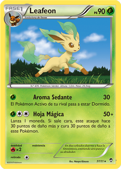 Card 7