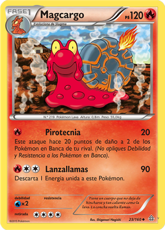 Card 23