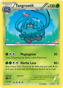 Card 5