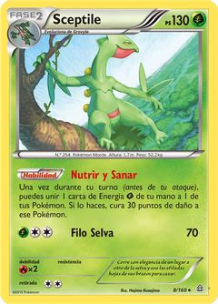 Card 8