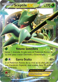 Card 7