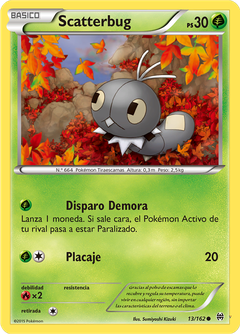 Card 13