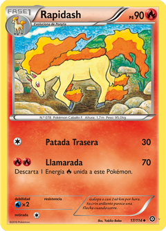 Card 17