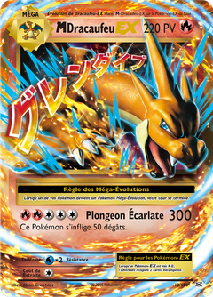 Card 13