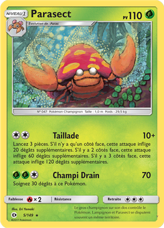 Card 5