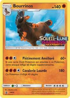 Card SM20