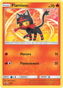 Card SM23