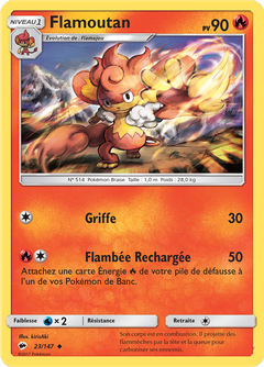 Card 23