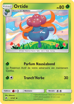 Card 5
