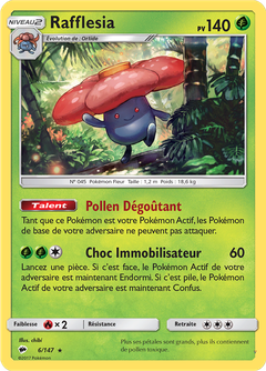 Card 6