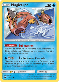 Card 17