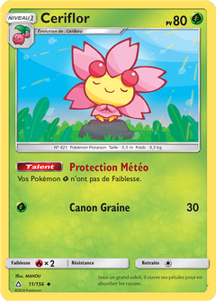 Card 11