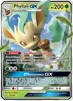 Card 13