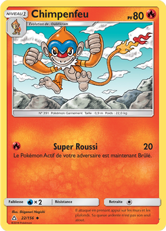 Card 22