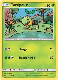 Card 7