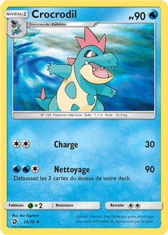 Card 23