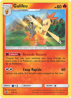 Card 5