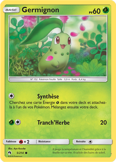 Card 5