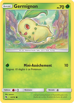Card 6