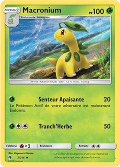 Card 7