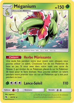 Card 8