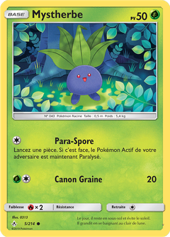 Card 5