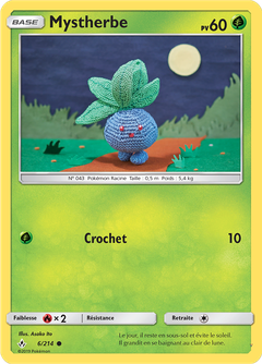 Card 6