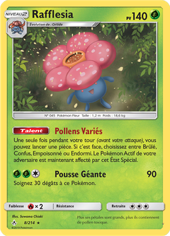 Card 8