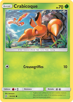 Card 10