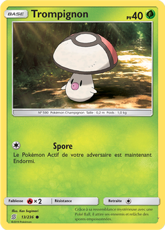 Card 13