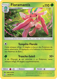 Card 16