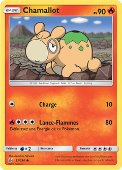 Card 23