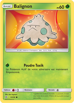 Card 5