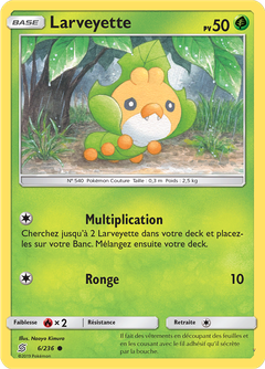 Card 6
