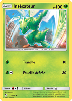 Card 5