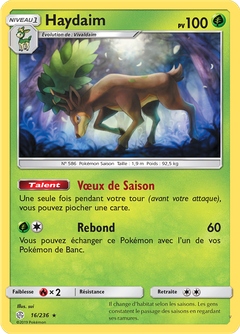 Card 16