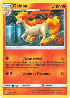 Card 24
