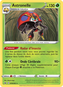 Card 19