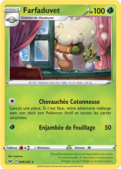 Card 6