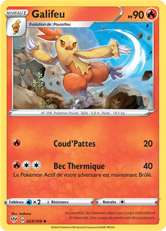 Card 23