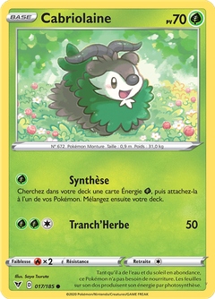 Card 17