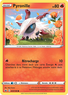 Card 23
