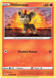 Card 22