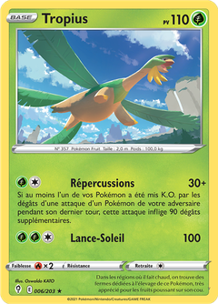 Card 6