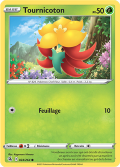 Card 24