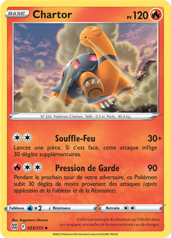 Card 23
