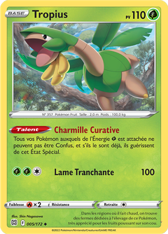 Card 5