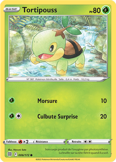 Card 6